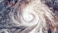 Whati Alternative Risk@2x