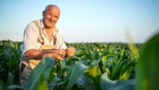 Portrait Senior Hardworking Farmer Agronomist Corn Field Checking Crops Before Harvest (1)