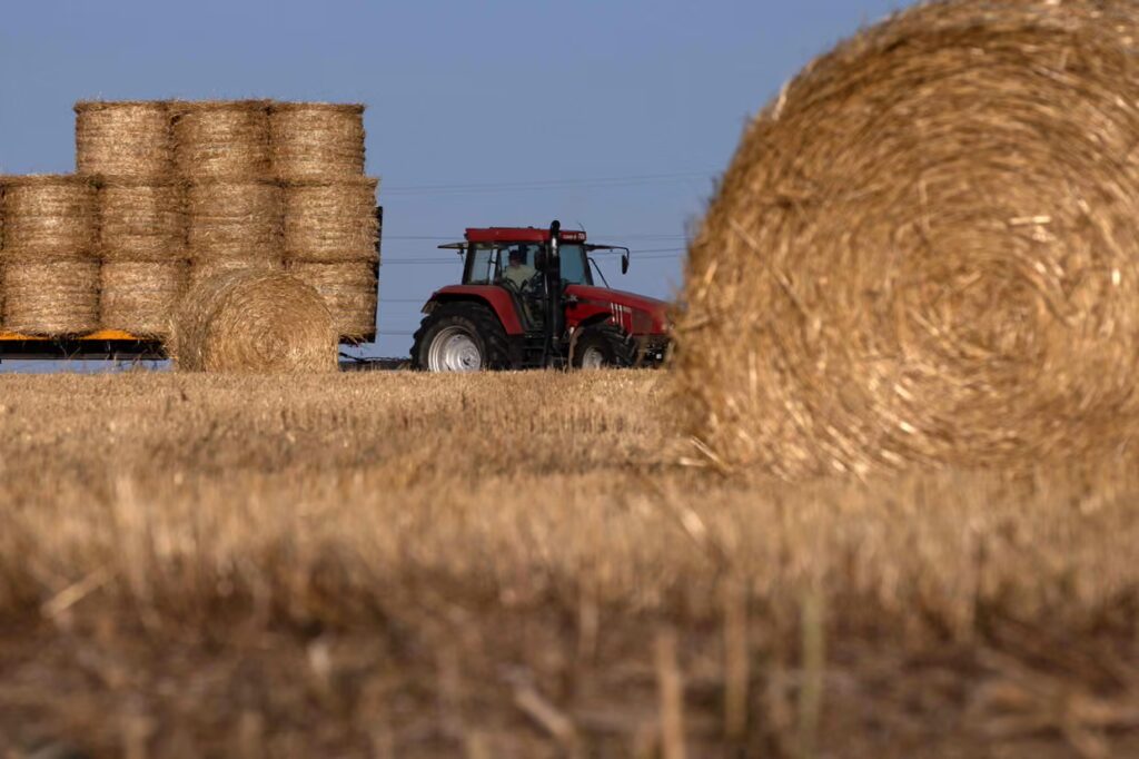 Stockfeed: food production insurance